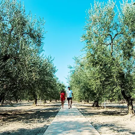 Giardino Degli Ulivi Masseria