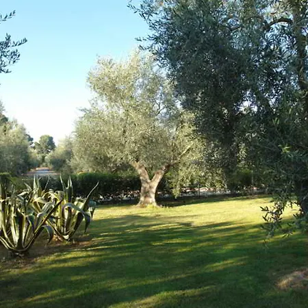 Giardino Degli Ulivi Masseria Hotel Margherita Di Savoia