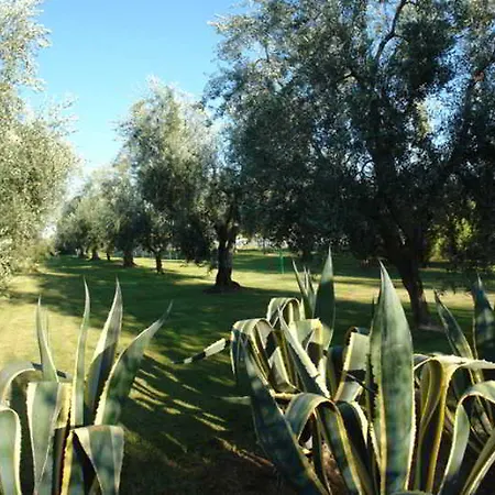 Giardino Degli Ulivi Masseria Hotel Margherita Di Savoia